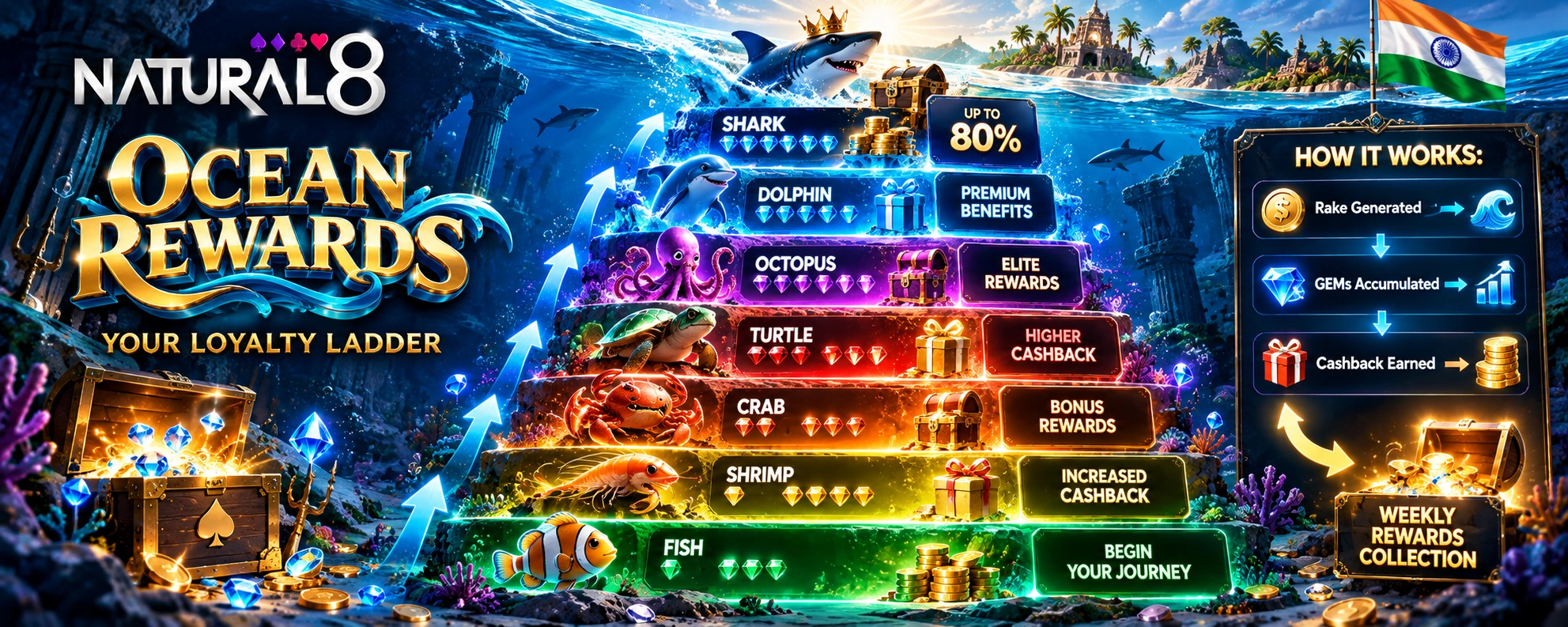 Natural8 Ocean Rewards loyalty ladder with Fish, Shrimp, Crab, Turtle, Octopus, Dolphin and Shark tiers, gems and cashback rewards.